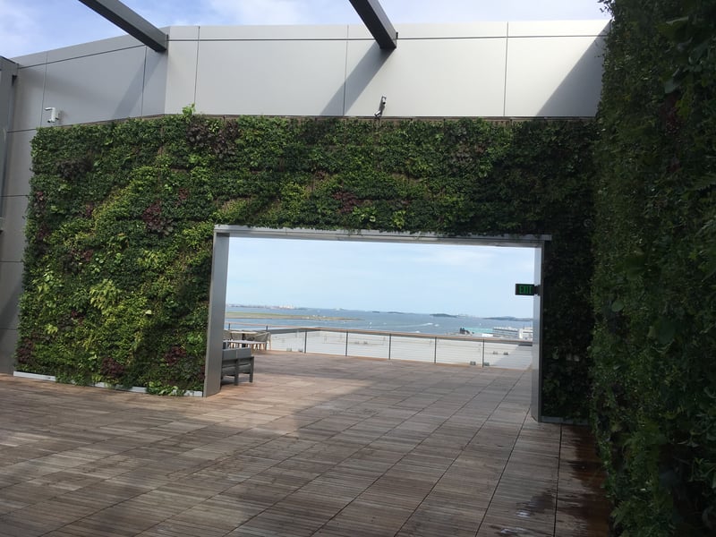 Pier 4 Rooftop Terrace preview 2